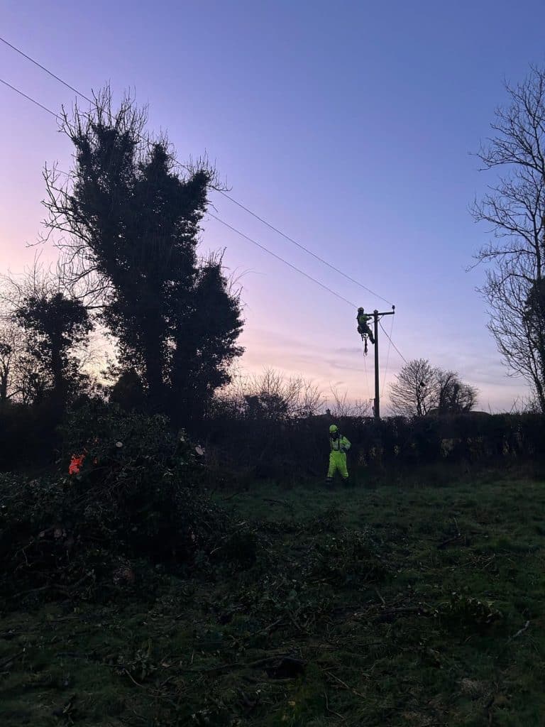 Nighttime tree surgery NI