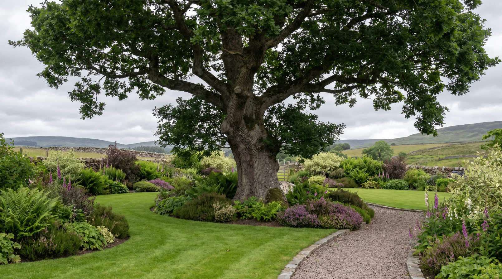 oak tree scotland